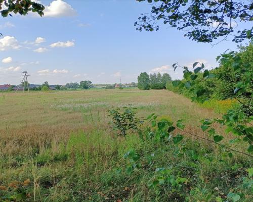 Działka 1,63 ha pod zabudowę w gm. Lubartów.