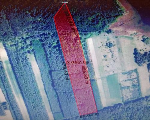 Działka leśna 3,90 ha w Brodach  gm. Pierzchnica.