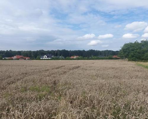Piękna działka budowlana blisko lasu- 17ar-Świdnik