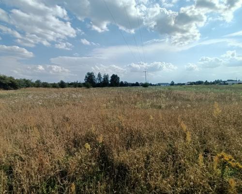 Działka 1,63 ha pod zabudowę w gm. Lubartów.