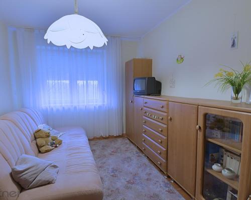 Klimatyczne 4 pokoje na Biskupinie! Osobny gabinet!