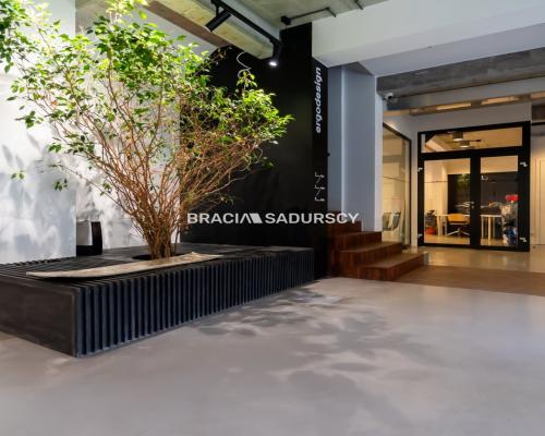 LOKAL o powierzchni 556,5 m2 – Kraków ZABŁOCIE