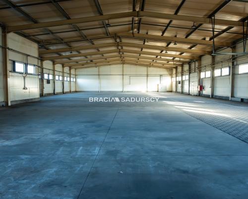 Hala 1000 m2 - Rybitwy Kraków