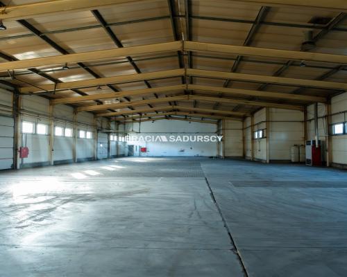 Hala 1000 m2 - Rybitwy Kraków