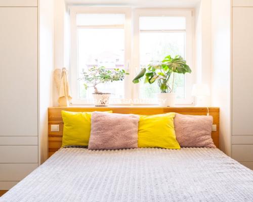 3-pokoje | ul. Felińskiego | 54 m² |