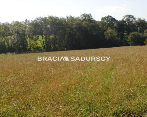 Okazja!!!Do sprzedania duża nieruchomość .
