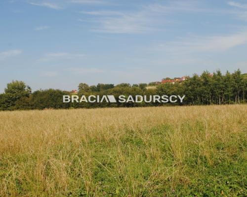 Okazja!!!Do sprzedania duża nieruchomość .