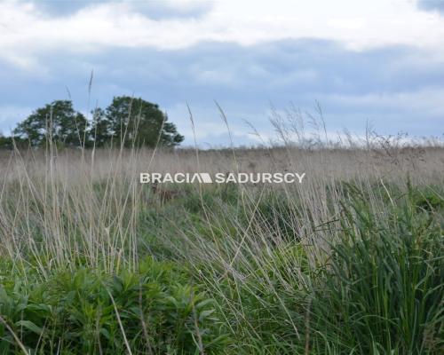 Działka budowlano-rolna o pow.: 1519 m2