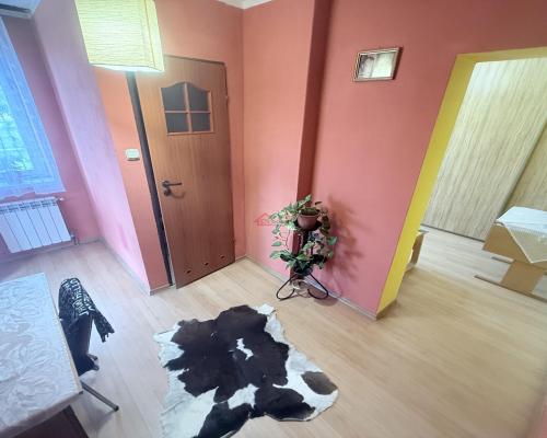 Okazja Dom 180 m² z ogrodem i sadem – Słupia (28‑350), powiat Jędrzejowski