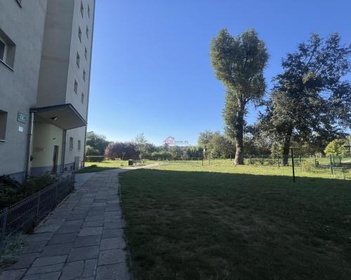 Mieszkanie 45,64m2 Sady 2 Pokoje