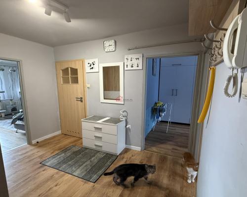 Na sprzedaż – 2-pokojowe mieszkanie 46 m², parter – widok na Góry Świętokrzyskie