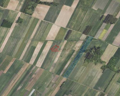 Działka 1,75ha, 9km od Busko-Zdrój