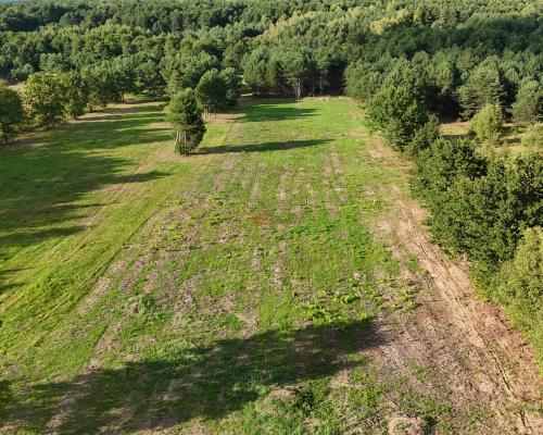 Działka na sprzedaż 910 m2 Gałęzice gm. Piekoszów