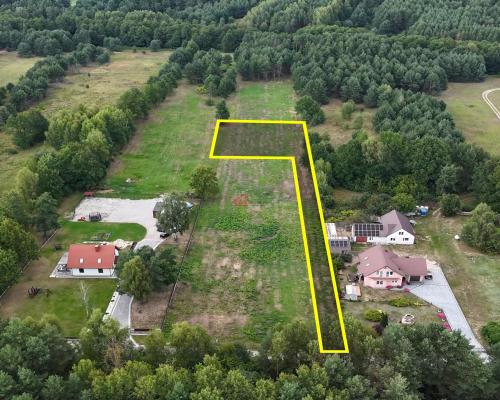 Działka na sprzedaż 910 m2 Gałęzice gm. Piekoszów