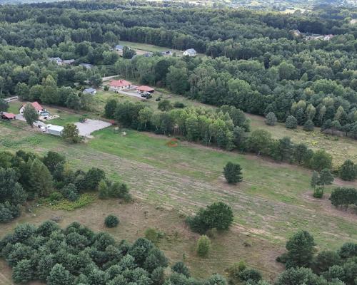 Działka na sprzedaż 910 m2 Gałęzice gm. Piekoszów