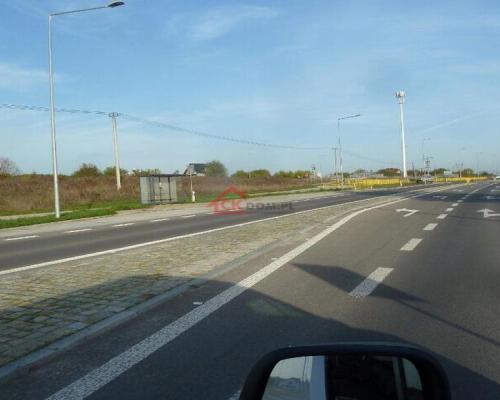 Działka dzierżawa wynajem Chęciny