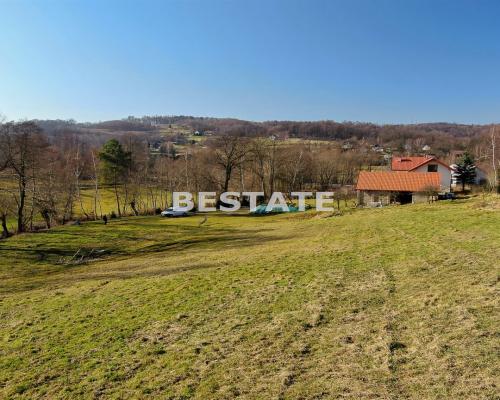 W ofercie parcela położona w miejscowości Okocim gm.Brzesko. 
Wielkości 41 ar&oacute;w z czego ok.13 ar&oacute;w zadrzewione, k