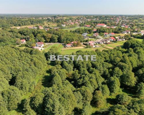 31,57 ar  - Mokrzyska