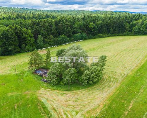 1,53 ha - Staszkówka