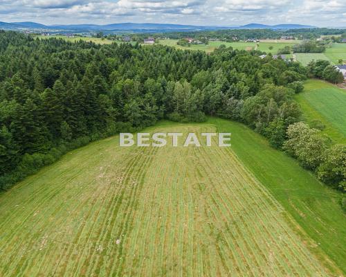 1,53 ha - Staszkówka