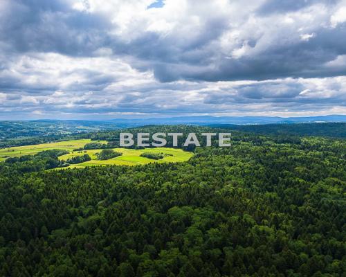 1,53 ha - Staszkówka