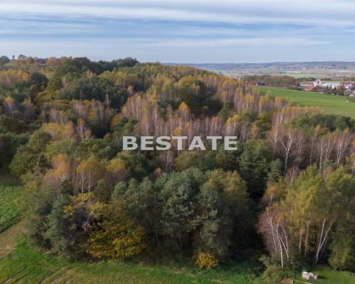 Na sprzedaż nieruchomość gruntowa o powierzchni 1,9000 ha, położona w Woli      Str&oacute;skiej      koło Zakliczyna.
