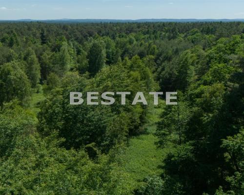 Na sprzedaż nieruchomość gruntowa o powierzchni 1,4 ha, zlokalizowana w miejscowości Nowa Jastrząbka.      
 
     Działka zbli