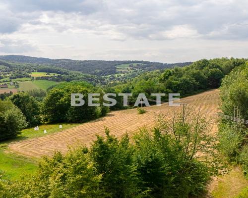 Działka budowlana, widokowa w Paleśnicy