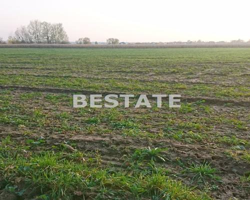 Duża działka  pod lasem w Pęgowie