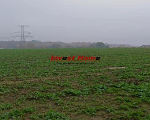 ✅ Atrakcyjna działka budowlana Bełk 1739 m2✅