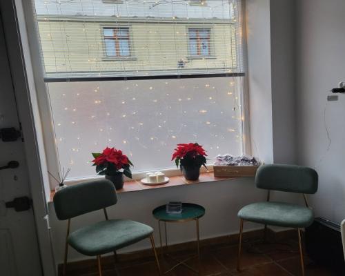 Lokal handlowy usługowy biurowy w centrum Płot