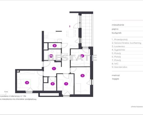 5 pokojowy apartament, loggia 9 m.kw Widzew
