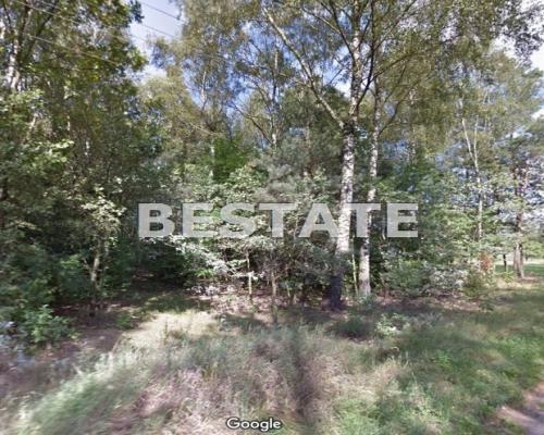 6,8 ha lasu, okolice Dłutowa