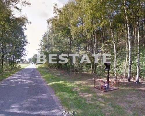 6,8 ha lasu, okolice Dłutowa