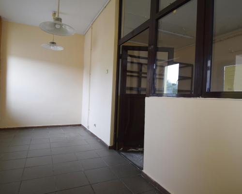 Lokal 180m2