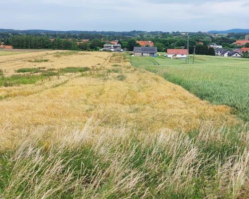 Działka inwestycyjna 0,83 Ha