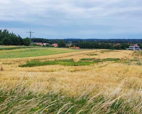 Działka inwestycyjna 0,83 Ha
