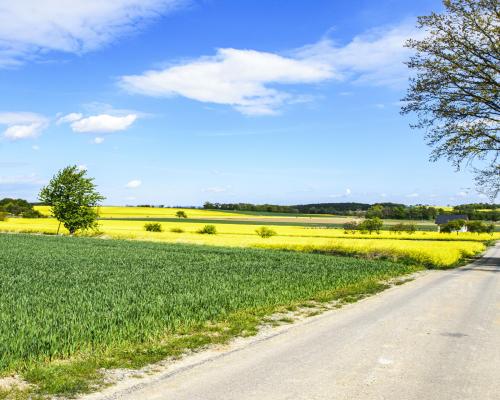Działka na sprzedaż w miejscowości WIRKI - 2197M2