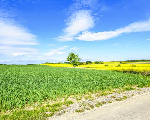 Działka na sprzedaż w miejscowości WIRKI - 2197M2