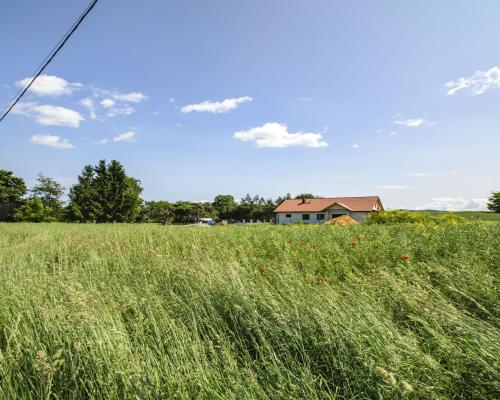 DZIAŁKA BUDOWLANA Z WIDOKIEM NA GÓRY/ KRZCZONÓW