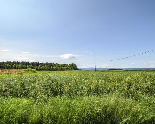 DZIAŁKA BUDOWLANA Z WIDOKIEM NA GÓRY/ KRZCZONÓW