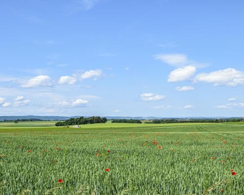 DZIAŁKA BUDOWLANA Z WIDOKIEM NA GÓRY/ KRZCZONÓW