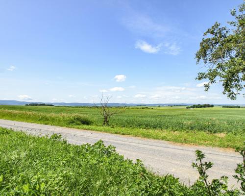 DZIAŁKA BUDOWLANA Z WIDOKIEM NA GÓRY/ KRZCZONÓW