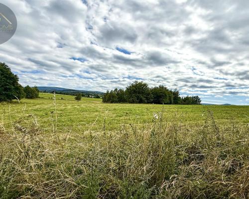 Działka 4025 m² z warunkami zabudowy – Boreczna