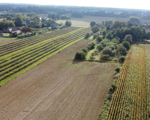 Działka, Motycz, 8.5ar, budownictwo jednorodzinne