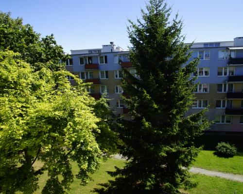 Dwupokojowe mieszkanie w centrum Świdnika