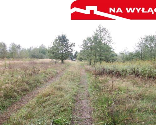 Działka budowlana ok.20 ar Gołąb g. Michów
