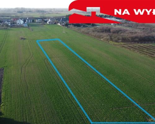 Działka rolno-budowlana 0,31 ha w Gołębiu k/Puław.