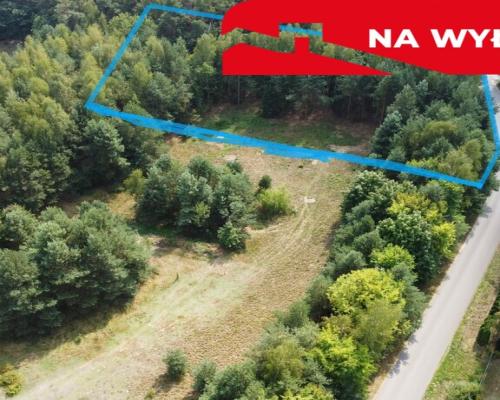 Działka budowla 3117 m2 w Kowali gm. Puławy.