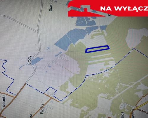Działka leśna 3,90 ha w Brodach  gm. Pierzchnica.